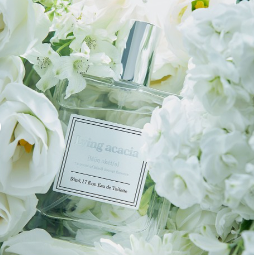 아카시아 향수 라잉 아카시아 Lying acacia 50ml